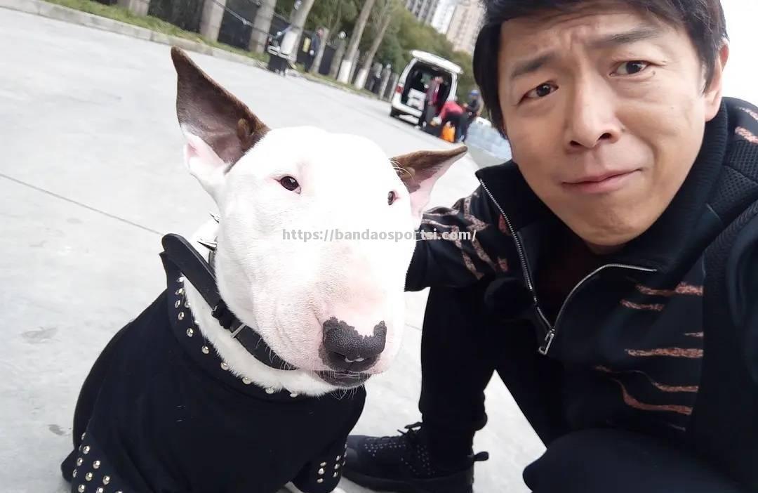 火爆对决！南欧球队挑战极限冲向胜利